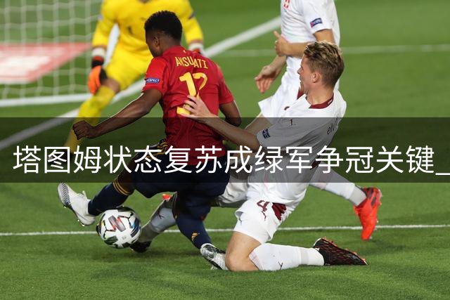 塔图姆状态复苏成绿军争冠关键 美媒曝其战术角色重大升级