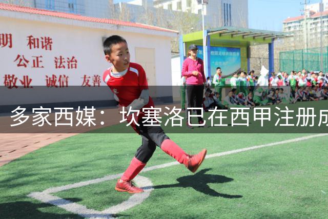 多家西媒：坎塞洛已在西甲注册成功，除比西武外巴萨新援都可上场