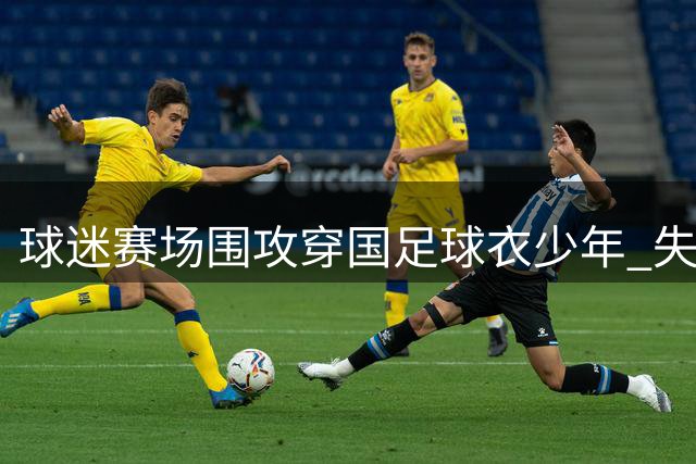 球迷赛场围攻穿国足球衣少年 失态行为引众怒